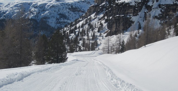 Strada con neve battuta