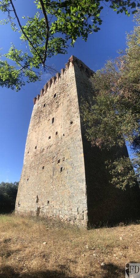 Torre Bassa